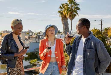 Diaspora-Reconnection-Tour